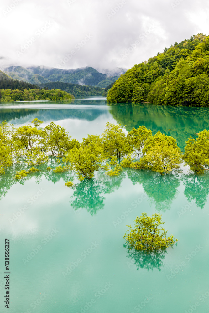 秋扇湖 水没林 秋扇湖 水没林