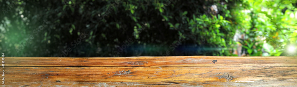 Fototapeta premium Wooden base with tree backdrop, wide backdrop for use.