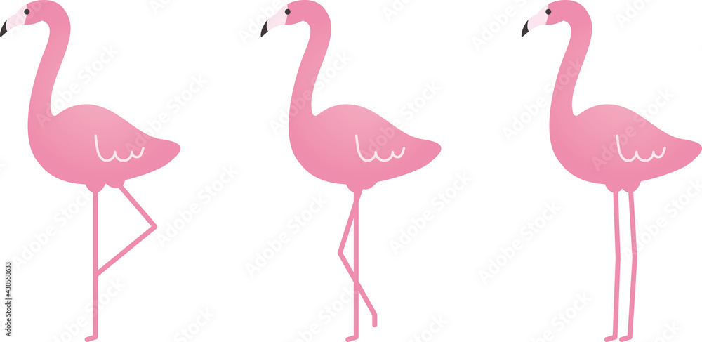 Fototapeta 3 flamingi