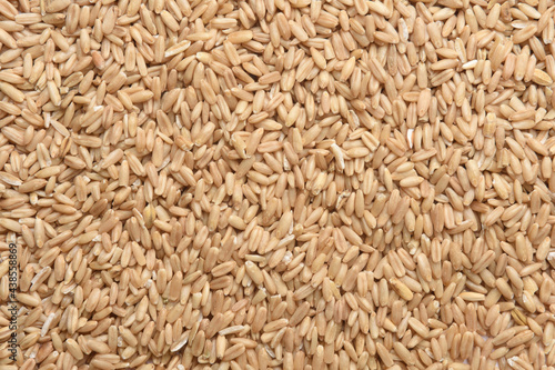 textured of peeled barley on white background