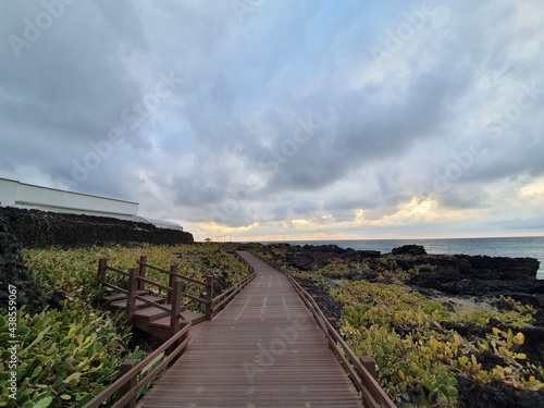 Wallpaper Mural in jeju island Torontodigital.ca