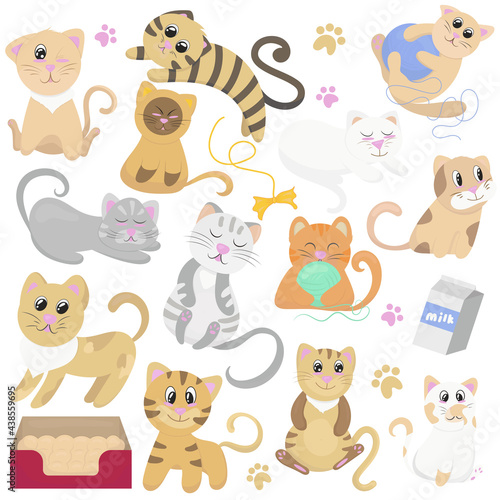 Fototapeta Naklejka Na Ścianę i Meble -  big set of cute kittens and their toys, vector illustration in flat style, pet