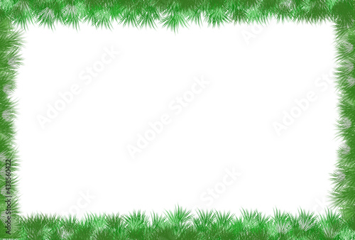 Green grass frame with copy space. Square border template isolated on white background. Abstract plant texture