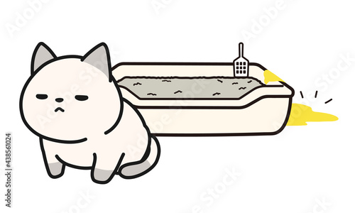 便器からはみ出しておしっこをしてしまった仔猫