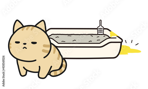 便器からはみ出しておしっこをしてしまった仔猫