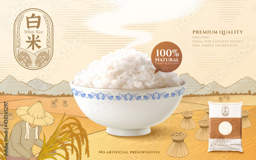 Template of rice product ad