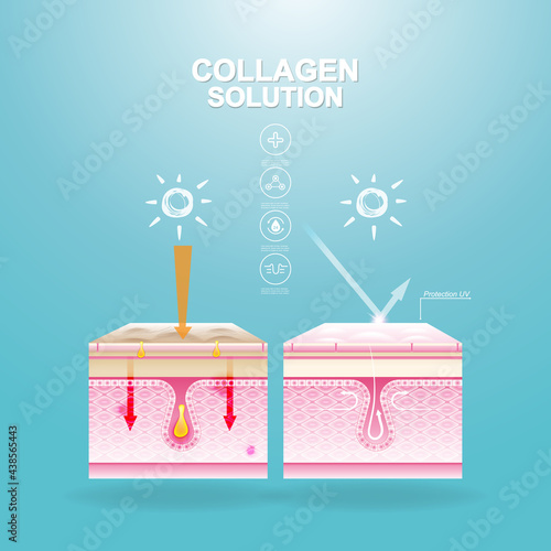 Repair Skin Layer Collagen or Serum Vector Background Concept for Skincare Cosmetic Products.