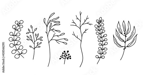 Set of hand-drawn floral elements,doodle plants and branches on a white background. Sketchy elements of design. Vector doodle illustrations.