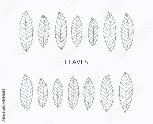 Set of artistic leaves in a modern minimalist style. Pencil contour line sketches. Vector template