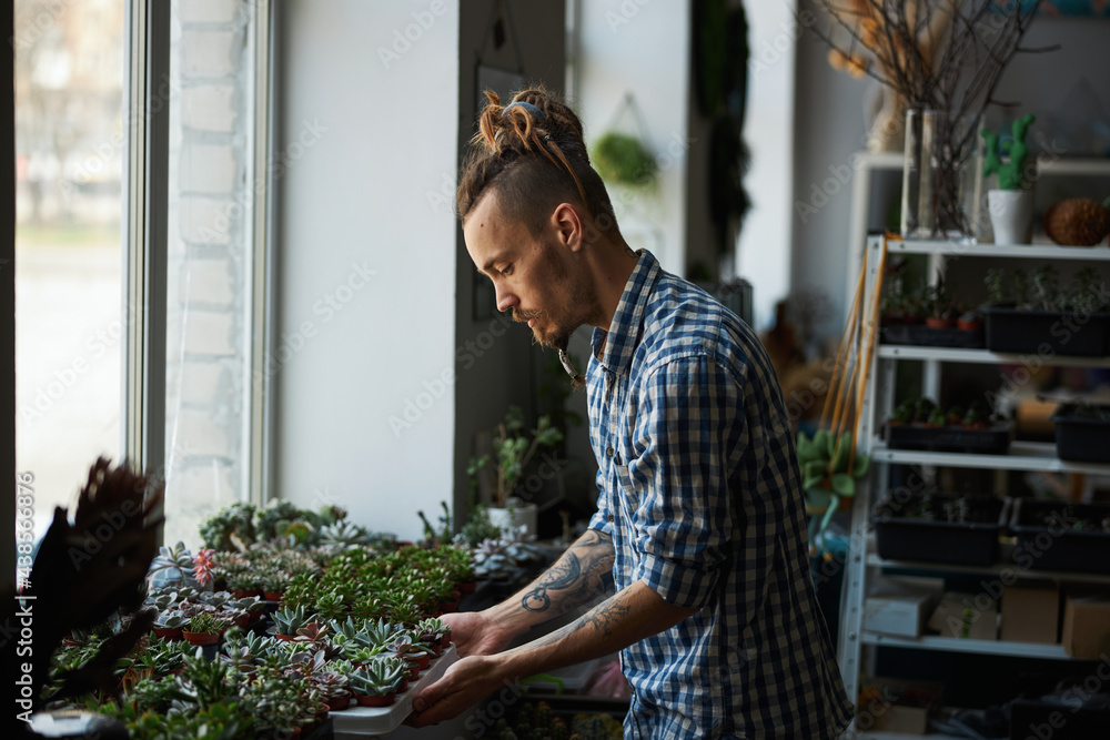 Fototapeta premium Handsome young man checking plants on windowsill