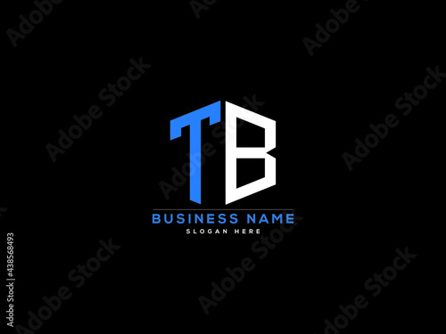 Letter TB Logo, creative tb logo icon vector for business