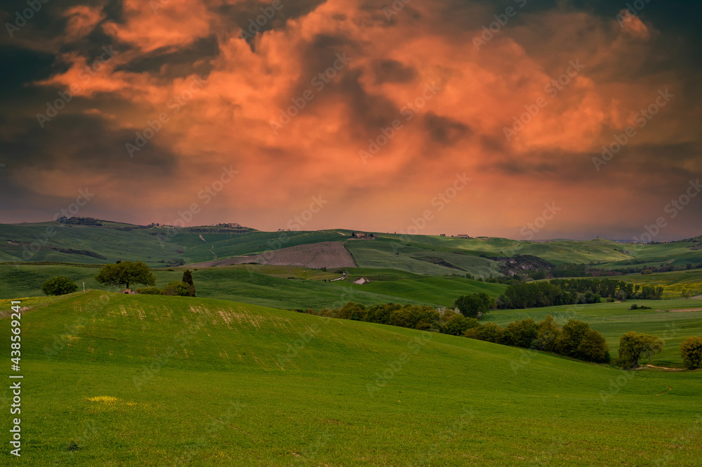 Fototapeta premium Tuscany spring, rolling hills and windmill on sunset. Rural landscape. Green fields. Italy, Europe