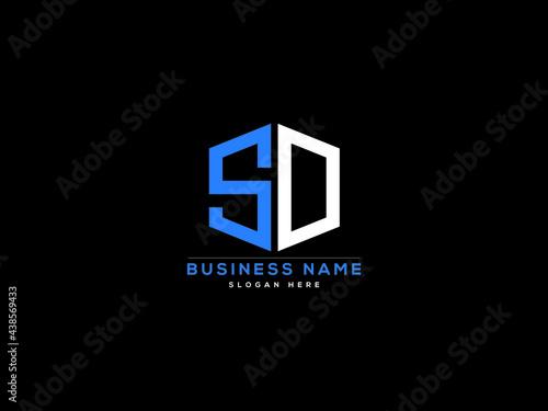 Letter SD Logo, creative sd logo icon vector for business