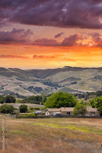 Wallpaper Mural California vineyards along Happy Canyon Trail in Santa Ynez Torontodigital.ca