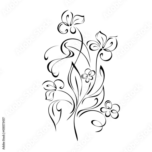 floral design with blooming flowers on stems with leaves and curls in black lines on a white background