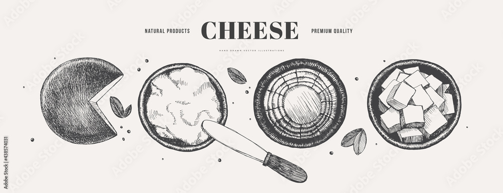 Hand-drawn hard and soft cheeses on a light background, top view. Feta, Ricotta, Gouda, young cheese, and a knife. Retro picture for the menu of restaurants, markets, and shops. Vector illustration.