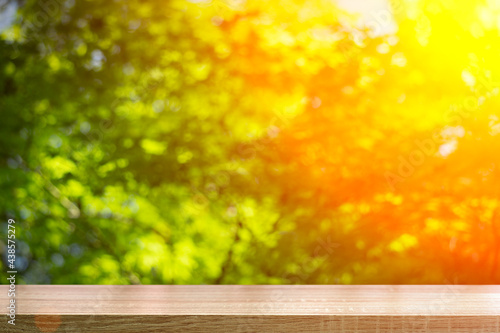 Table wood background in forest. Background of a blurred green summer forest with sunlight