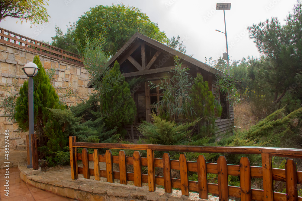 Fototapeta premium wooden bridge in the woods
