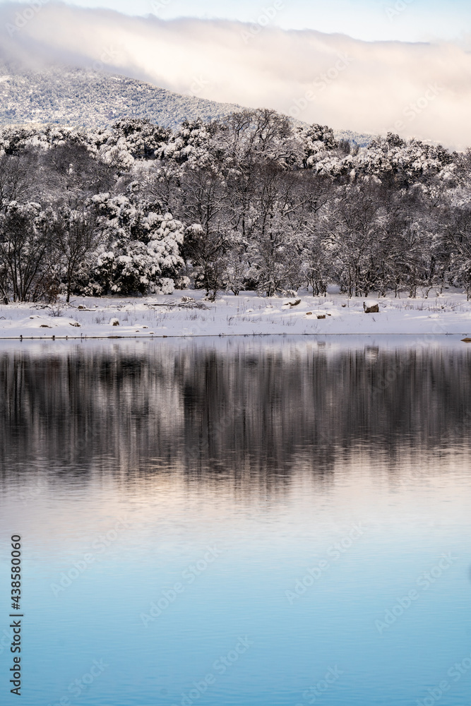 Fototapeta premium lago en invierno