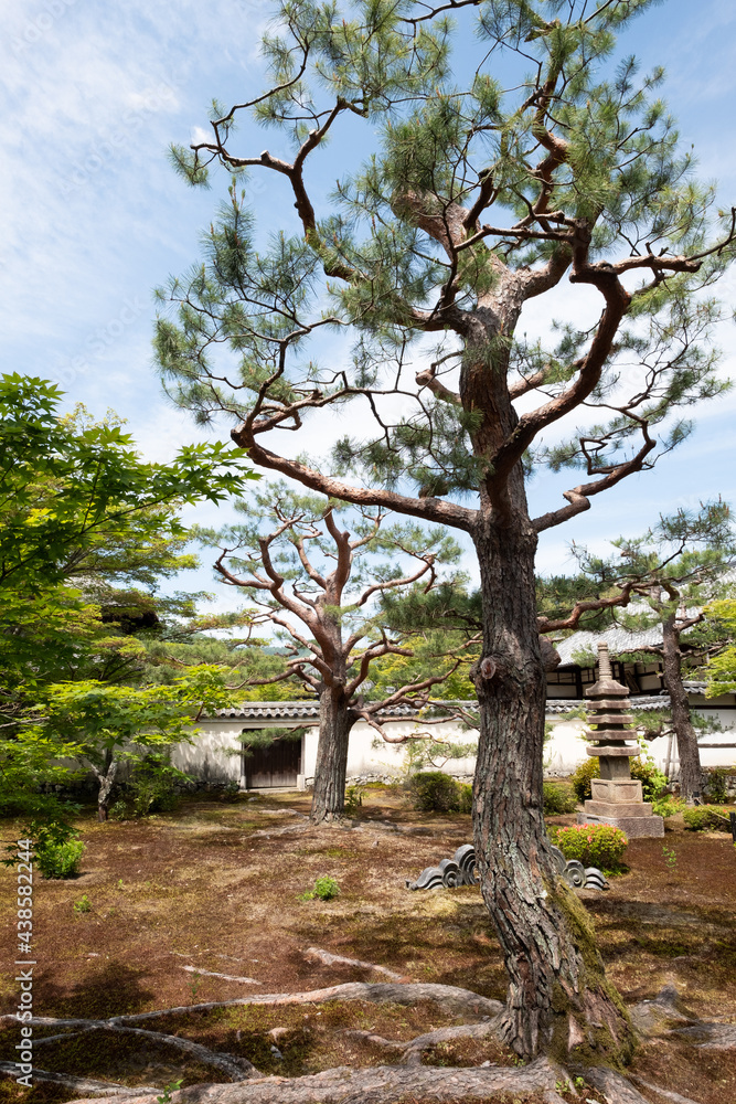 Buddhist temple in early summer