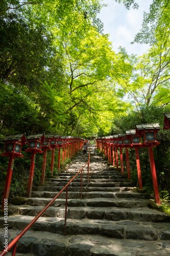 Early summer shrine   Kyoto   Japan