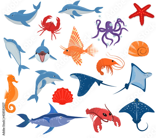 a set of vector illustrations with the inhabitants of the sea. A variety of mammals, fish and shellfish isolated on a white background