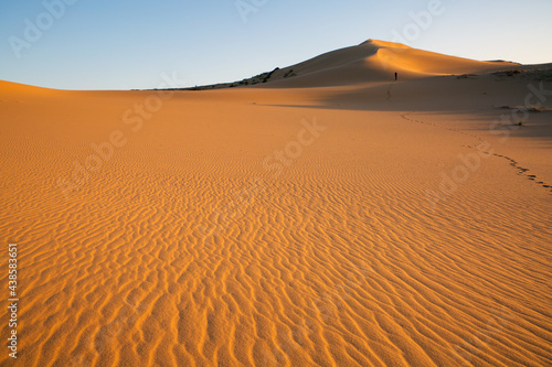 The texture of sand on the Sarykum dune is a desert in Russia  which is the second highest in the world.
