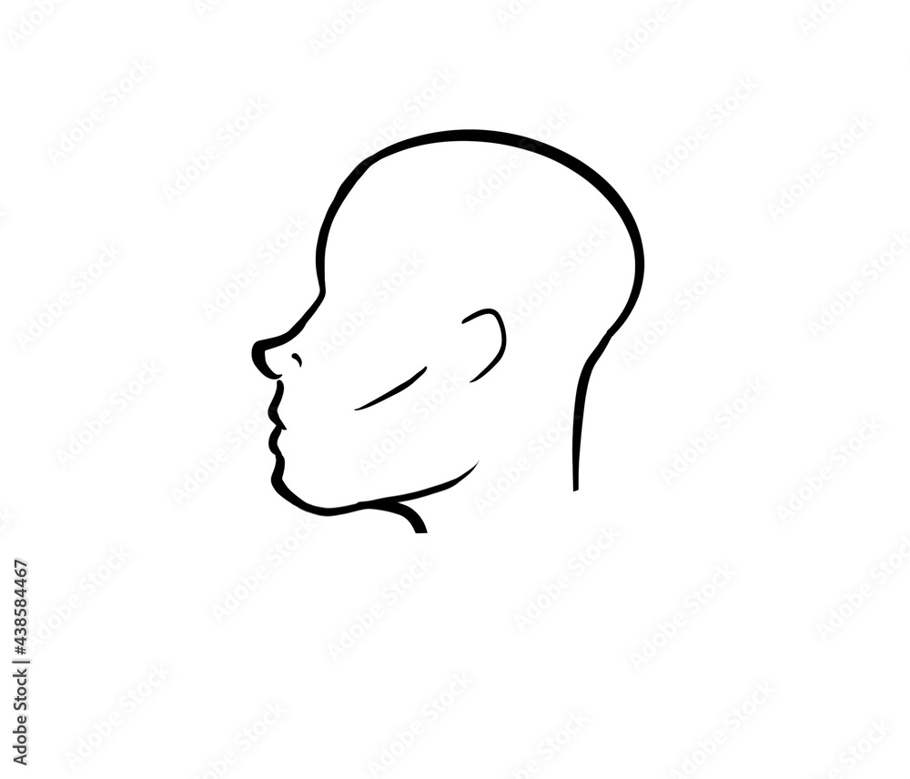 profile of a person illustration white background. Head profile of a person illustration white background. Head