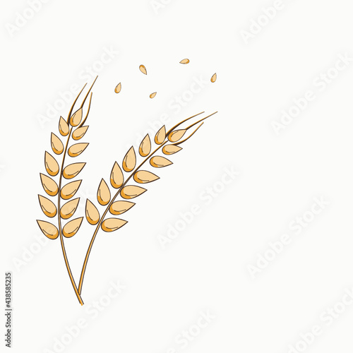 Golden wheat ears isolated on white background vector.