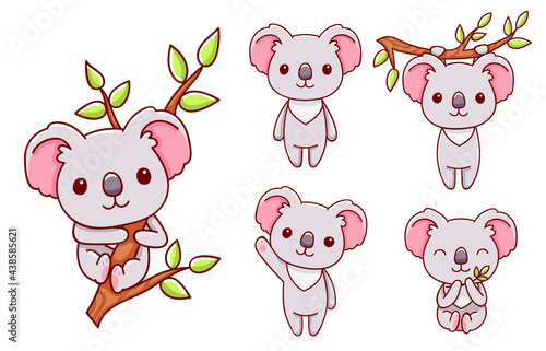 set of cute koala in various poses, cartoon style