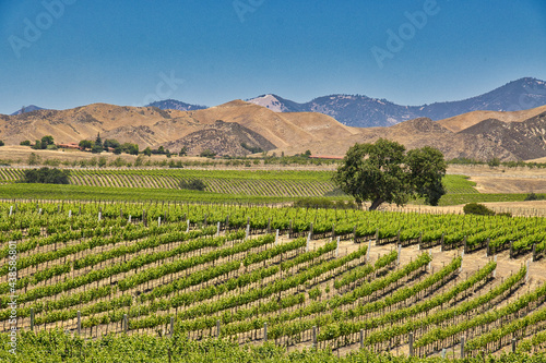 Exploring ranchlands and vineyards along Happy Canyon Trail in Santa Ynez California