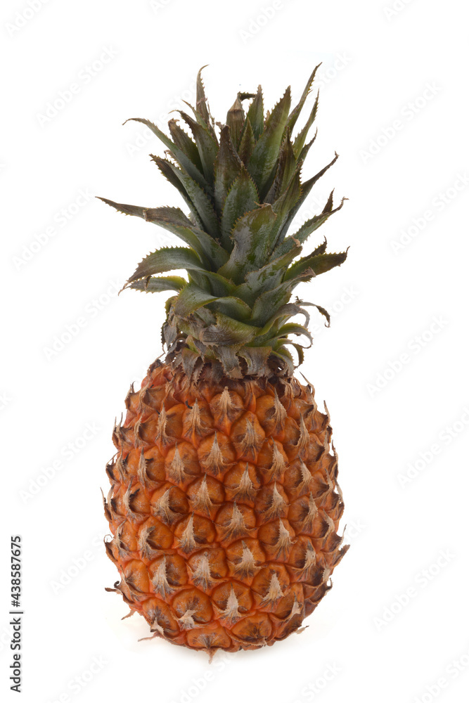 Ananas en gros plan sur fond blanc Ananas en gros plan sur fond blanc