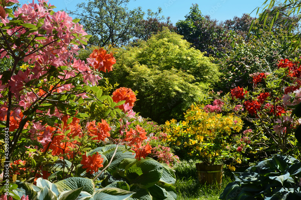 Naklejka premium Garten 1207