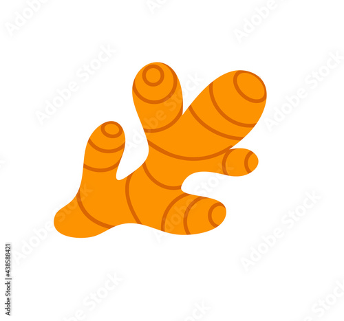 Ginger root flat vector illustration