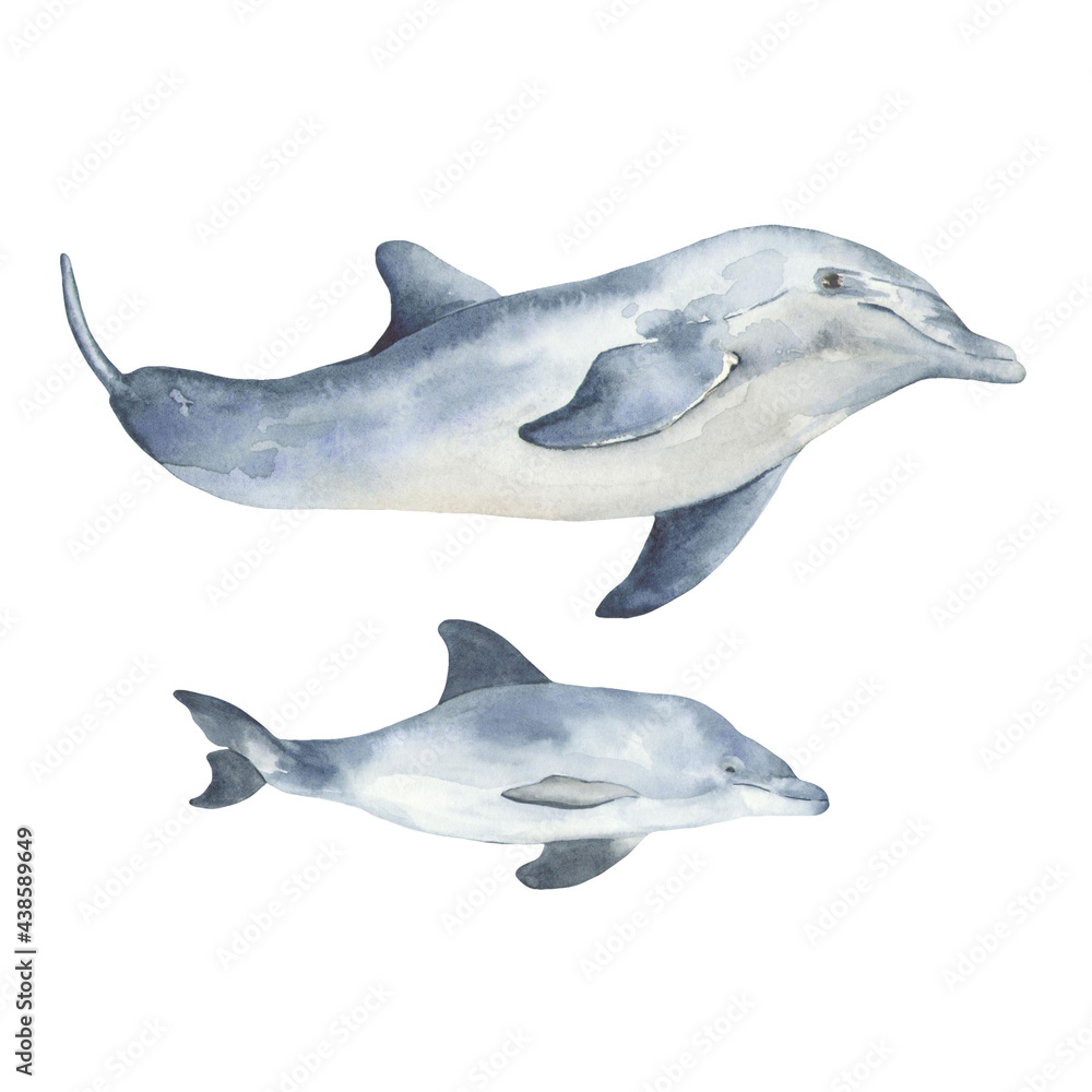 Fototapeta premium Dolphins watercolor illustration. Suitable for print, web, textile design, scrapbooking and other creative ideas.