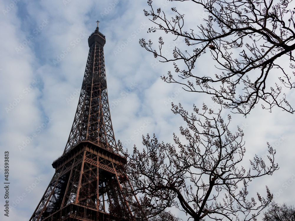 Eiffel tower and nature