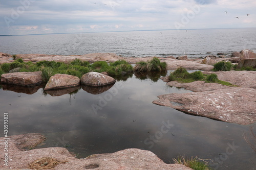 sea and rocks