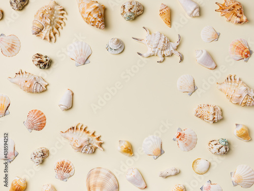 Frame border with collection of seashells and snails ordered in a circle isolated on a sandy beige background. Creative sea summer vacation concept. Flat lay, top view.