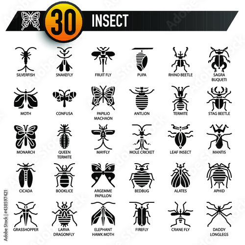 insect, Thin Line, and Pixel Perfect Icons © Surang