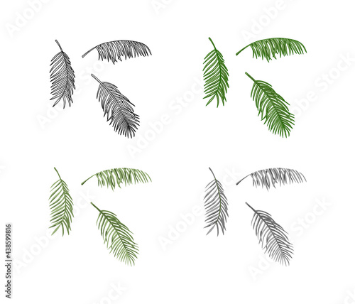 coconut tree frond design element vector, hand drawn of palm leaves set.