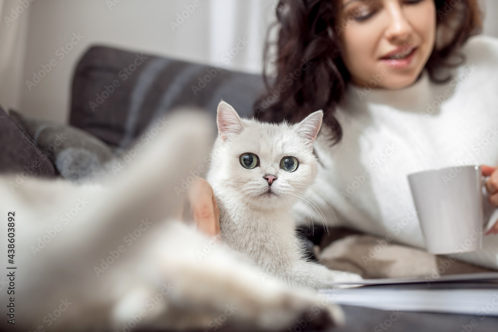 Female pet owner looking happy while spending time with her cat