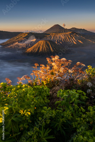 Mountain Bromo in the foggy morning. Mount Bromo is located in East Java, Indonesia. Mount bromo is a well known volcano together with mount batok and mount semeru. photo