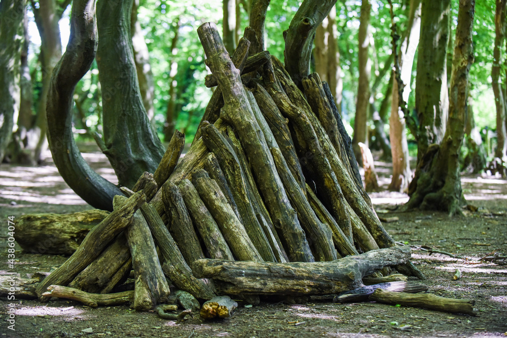 Stick dens and forts in the woods built by children to play in outside Stick dens and forts in the woods built by children to play in outside