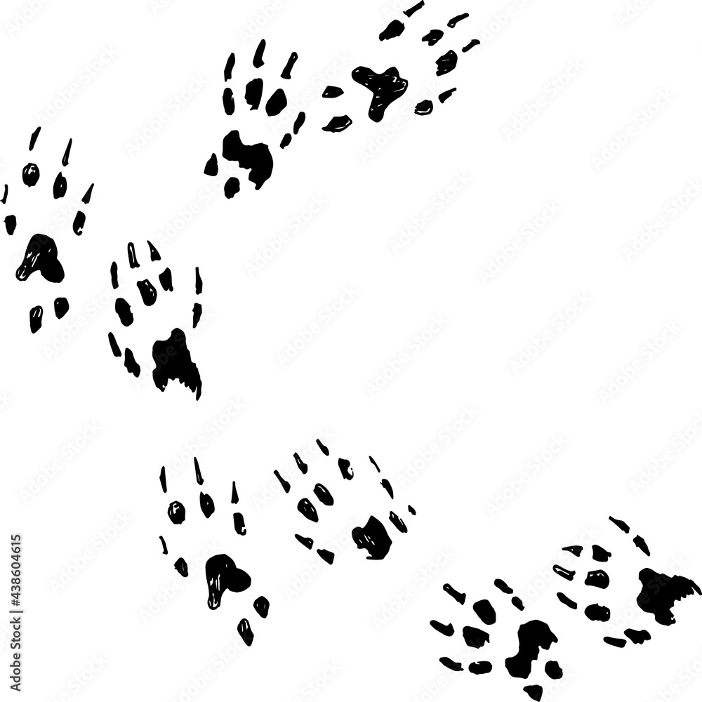 a of black hand drawn doodle squirrel paw prints across the page sketch illustration Stock Vector | Adobe Stock