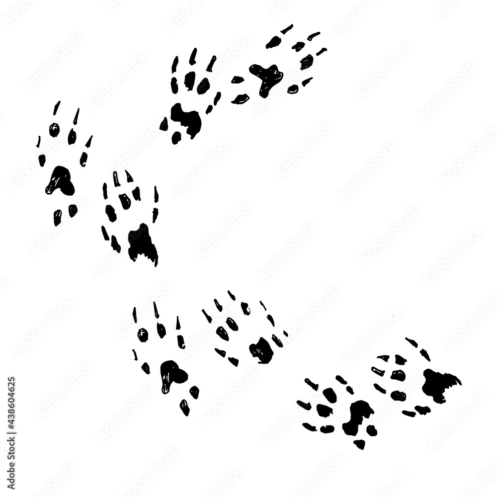 a trail of black hand drawn doodle squirrel paw prints across the page sketch illustration a trail of black hand drawn doodle squirrel paw prints across the page sketch illustration