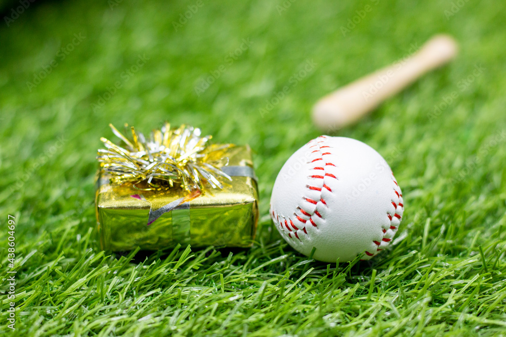 Naklejka premium Baseball with Happy Birthday sign are on green grass