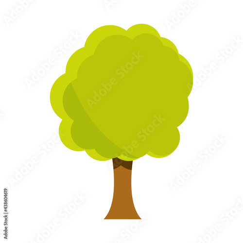 greenery frond tree