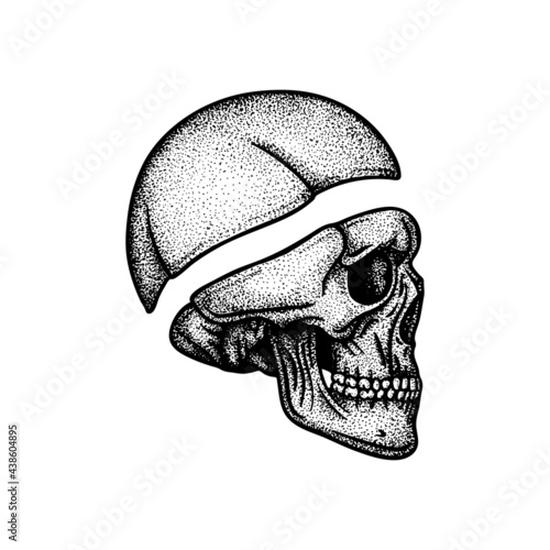 Human skull side view engraving, vintage style vector illustration. Part of human hand drawn skeleton. photo