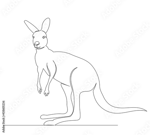 kangaroo drawing one continuous line isolated