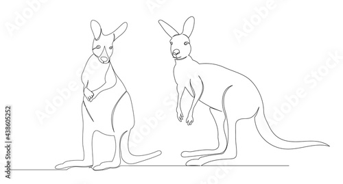 kangaroo drawing one continuous line